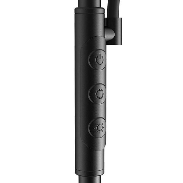 Double Floor Lamp with remote BlitzWill BWL-FL-0001, 36W (black) - Image 3