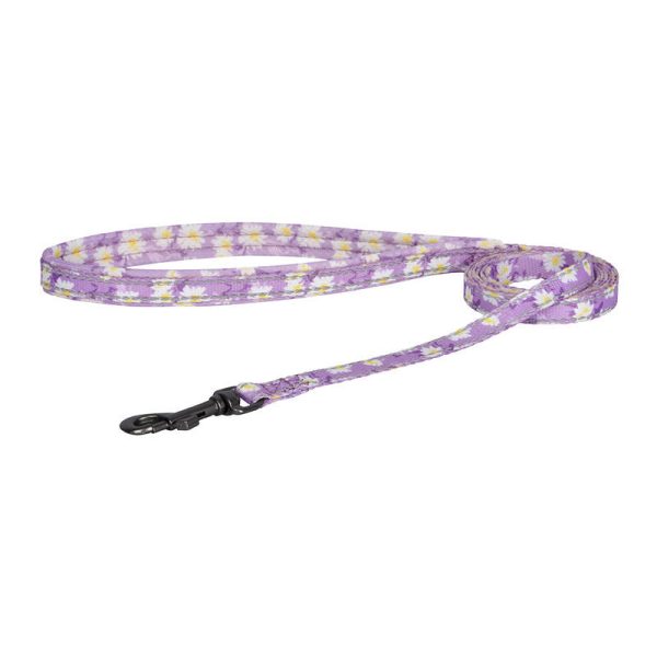 Dog set Dogness harness and leash (Calamus Pink) - Image 3
