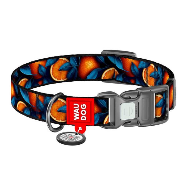 Waudog "Oranges" nylon dog collar with QR code, size XL - Image 2