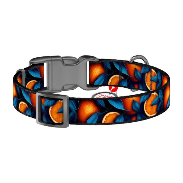 Waudog "Oranges" nylon dog collar with QR code, size L - Image 3