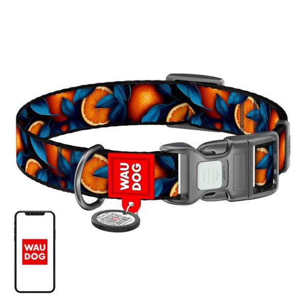 Waudog "Oranges" nylon dog collar with QR code, size L - Image 2
