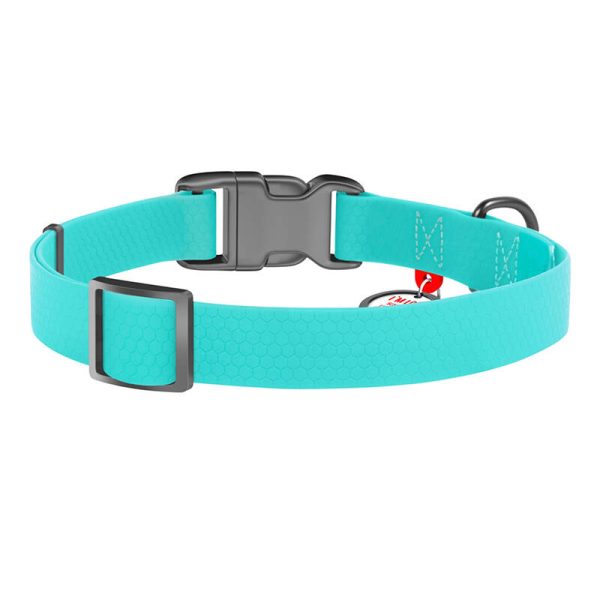 Waterproof glowing dog collar with QR passport WAUDOG 40 mm wide, 46-70 cm long - Image 2