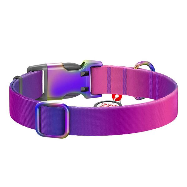 Nylon dog collar with QR code WAUDOG 15 mm wide, 25-35 cm long purple - Image 3
