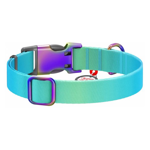 Nylon dog collar with QR code WAUDOG 15 mm wide, 25-35 cm long blue - Image 3